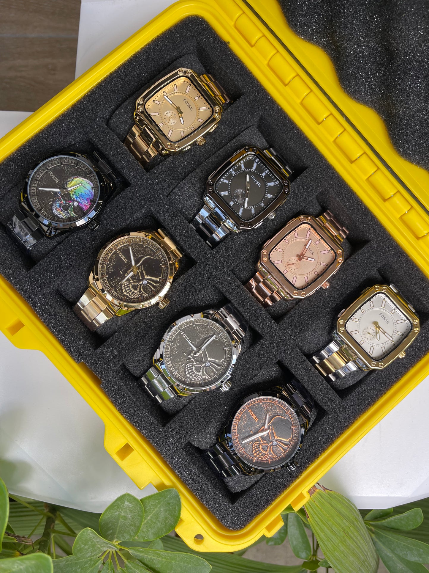 COMBO FOSSIL
