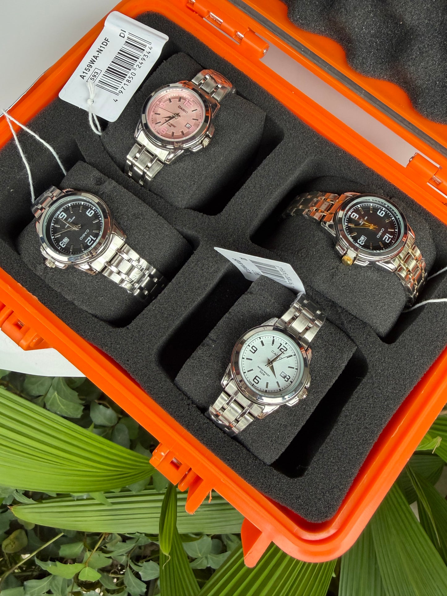 COMBO CASIO DAMA X4