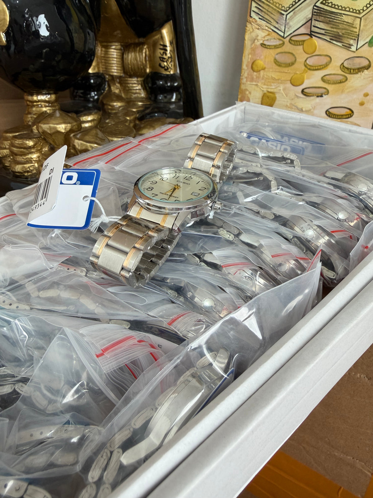 CAJA DE CONTAINER CASIO X25