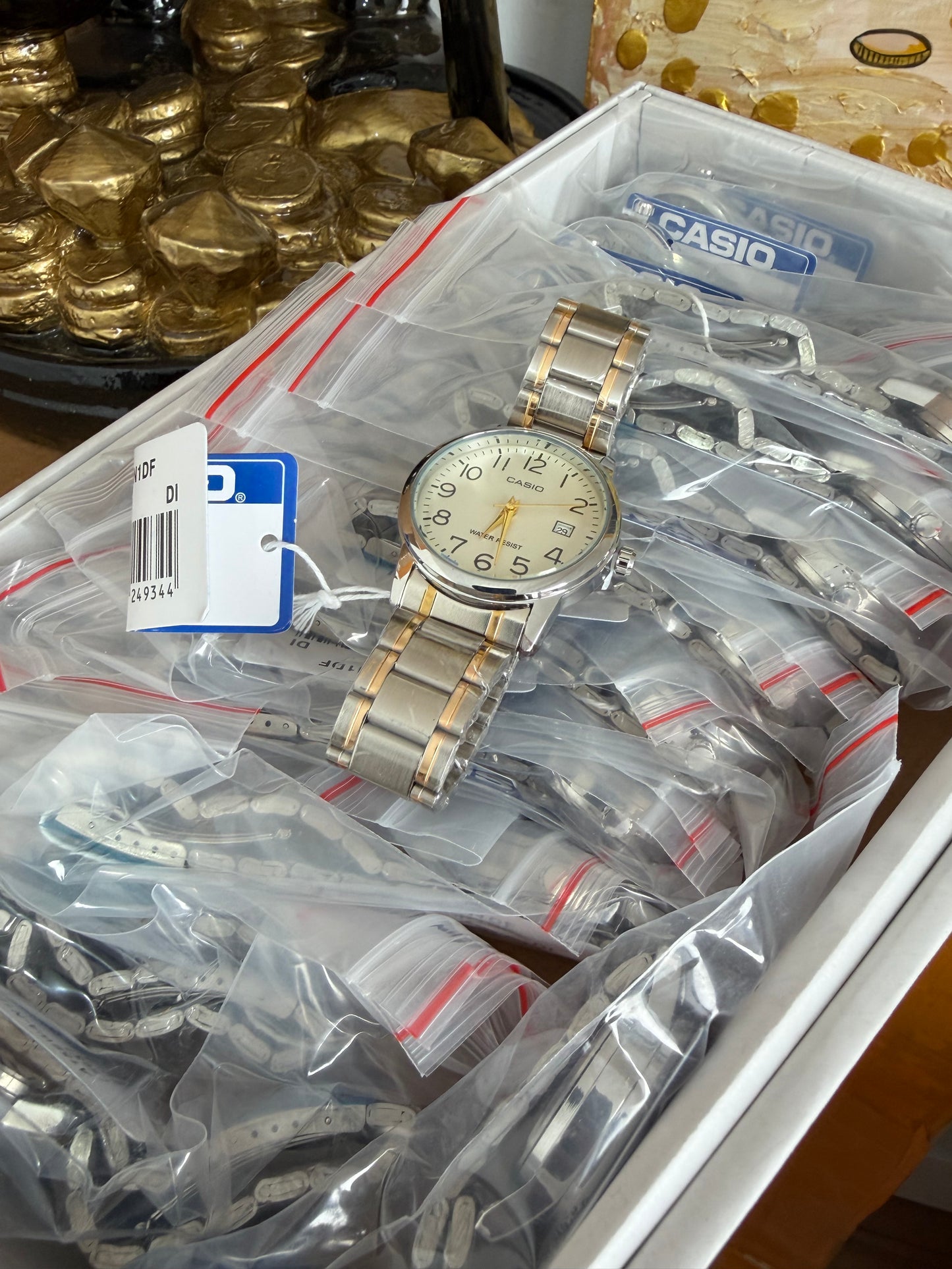 CAJA DE CONTAINER CASIO X25